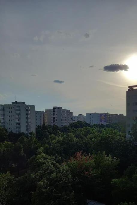 Cozy Place Bucharest