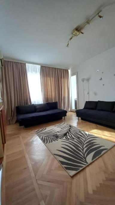 Cozy Place Apartment